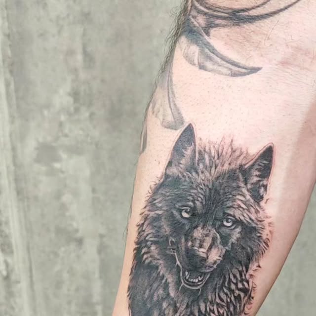 Wolf-Motiv in Fine Line, Unterarm